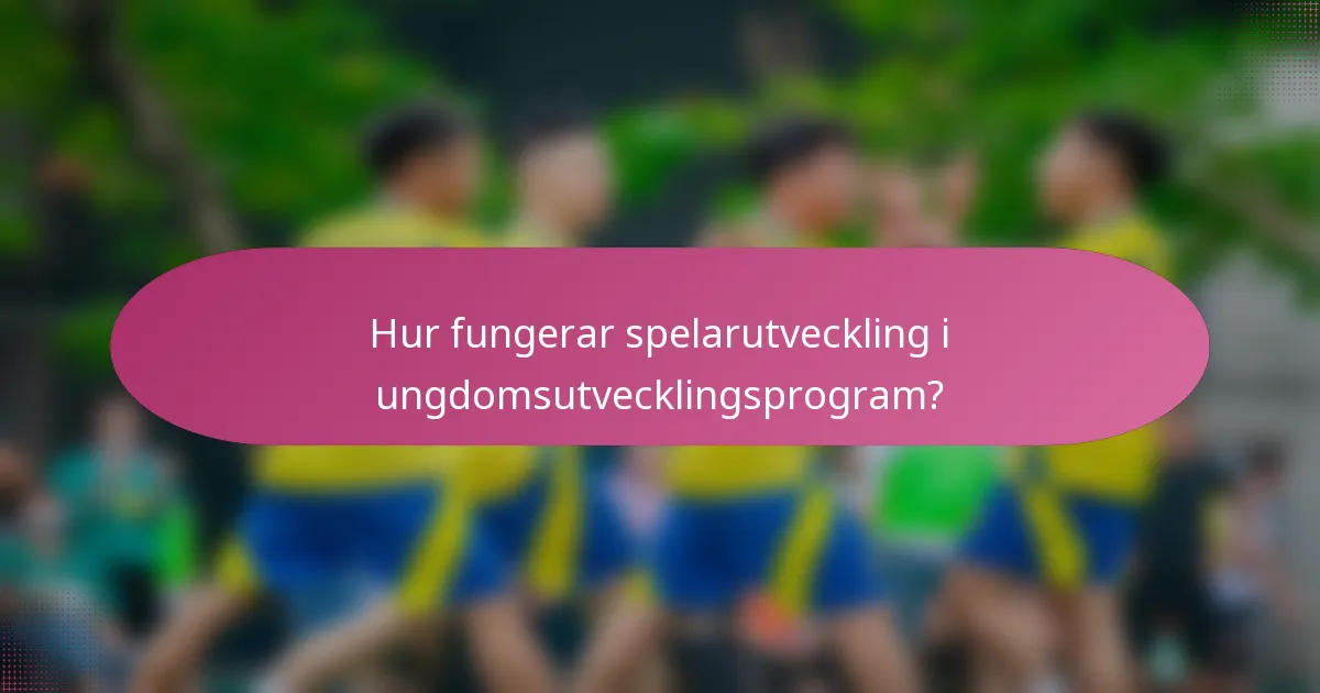 Hur fungerar spelarutveckling i ungdomsutvecklingsprogram?