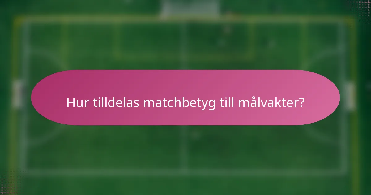 Hur tilldelas matchbetyg till målvakter?