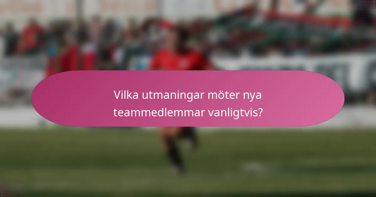 Vilka utmaningar möter nya teammedlemmar vanligtvis?